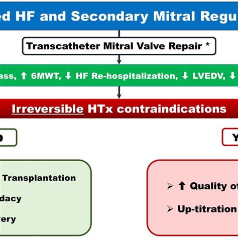 Expected Outcomes After Transcatheter Mitral Valve Repair In Patients