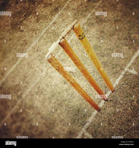 cricket stumps  res stock photography  images alamy