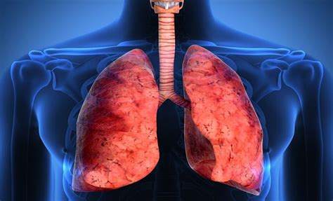 S Ntomas De La Insuficiencia Respiratoria Y Como Tratarla