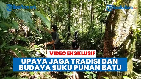 Mengenal Lebih Dekat Suku Punan Batu Pemburu Peramu Terakhir Di