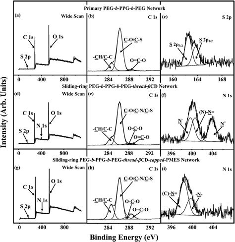 Xps Wide Scan C S N S And S P Core Level Spectra Of The A C