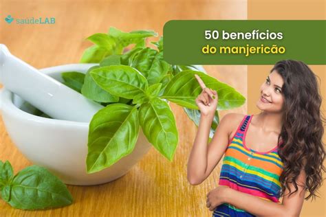 50 benefícios do manjericão um tesouro de saúde e sabor SaúdeLab