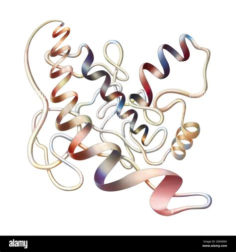 Secondary Structure Of A Protein