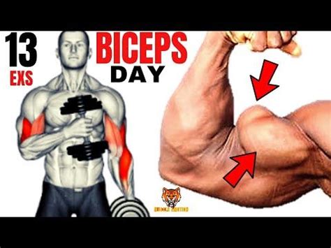 Best Biceps Workout At Gym To Get Bigger Arms Fast Biceps Workout