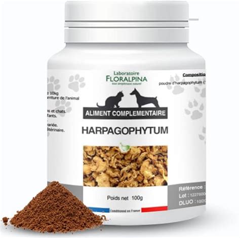 Harpagophytum Naturel Pour Chien Et Chat Compl Ment Alimentaire Anti