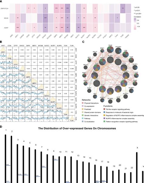 Frontiers Elucidating The Molecular Landscape Of Tendinitis The Role