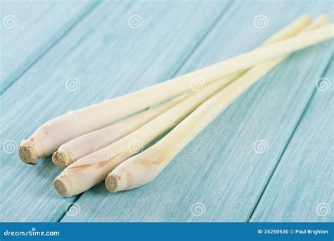 Sereh Or Serai Plant Cymbopogon Citratus Leaves Indian Lemon Grass Leaf Stock Image