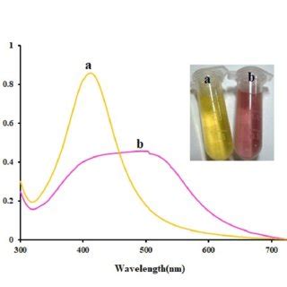 Uv Vis Absorption Spectra Of Tba Agnps Corresponding Image Before A