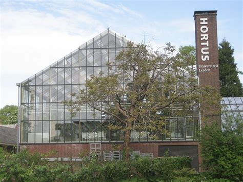 Hortus Botanicus Leiden Leiden Netherlands Atlas Obscura