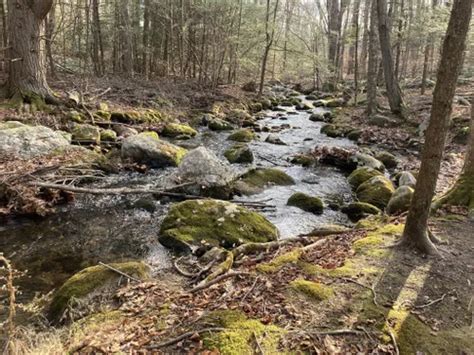 2023 Best 10 Easy Trails In Canton Land Conservation Trust Alltrails