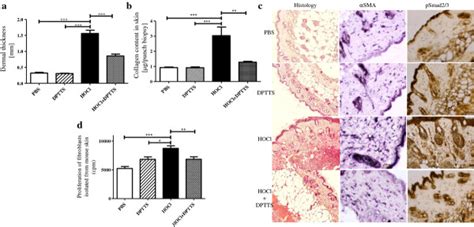 In Vivo Effects Of DPTTS On Skin Fibrosis In HOCl Mice N 8 Mice Per