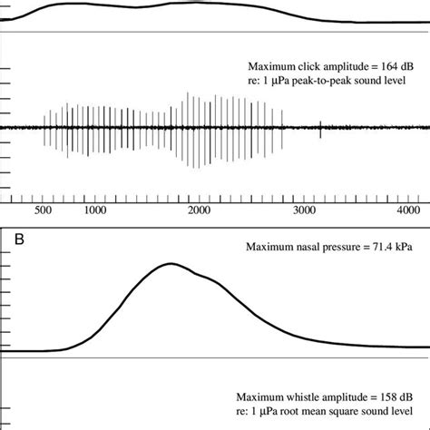 A Comparison Of Nasal Cavity Pressure And Hydrophone Recording During