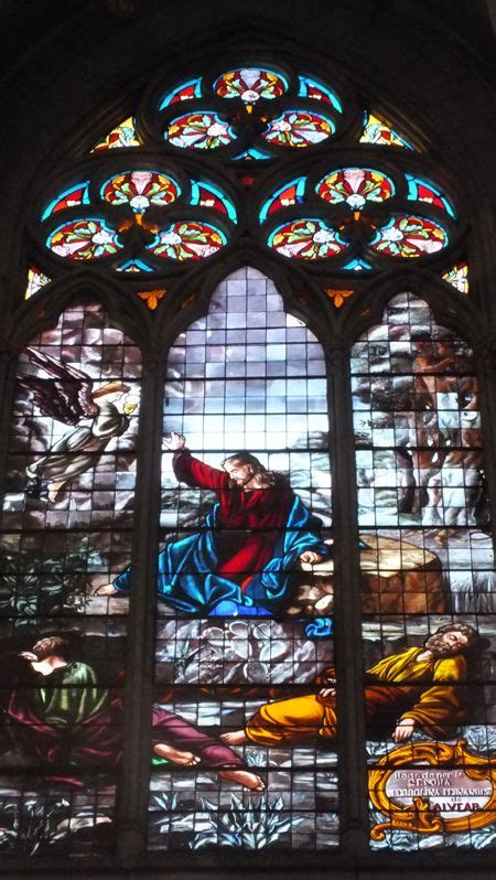 Interior De La Catedral De Los Santos Pedro Y Cecilia Vitraux