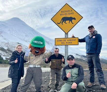 Guardaparques De Conaf Lanzan Campa A Para Prevenir Atropellos De Fauna