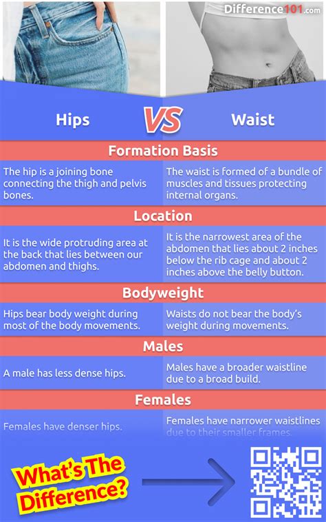 Hips Vs Waist 5 Key Differences And Examples To Know Difference 101