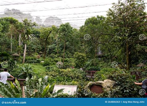 Waterfall Aviary Jurong Bird Park Singapore Editorial Image ...