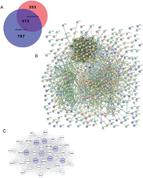 Venn Diagram PPI Network And The Most Significant Module Of DEGs A