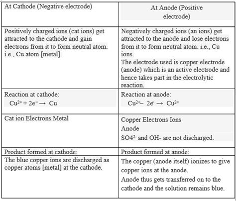 Explain Electrolysis Of Copper Sulphate Solution With Diagram Cbse Class 8 Learn Cbse Forum