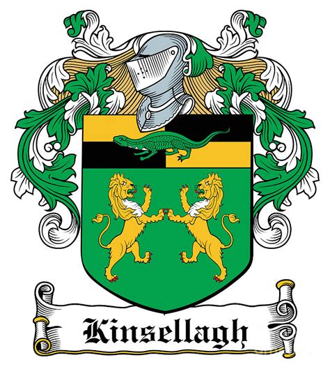 Kinsellagh Coat Of Arms I Dublin Digital Art By Heraldry Fine Art America