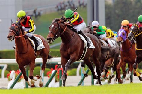 【pog】超良血アルアインが快勝「パワーアップしそう」とムーア競馬・レースデイリースポーツ Online