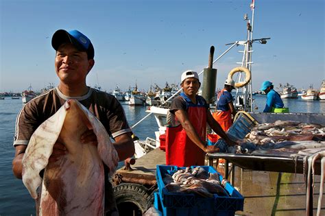 Un mar sin fronteras Perú Chile y Argentina en alianza por la