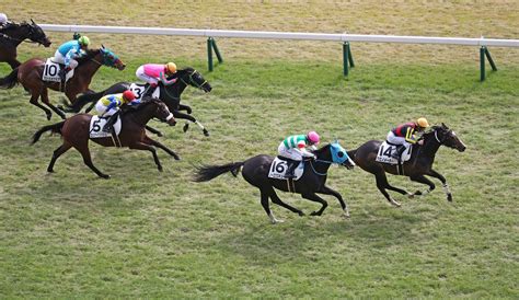 狙えるのは前走1200m戦なら4着以内馬、5着以下からでもokなのは前走マイル組だけ！【セントウルs】競馬初心者講座講師：長谷川雄啓の過去10