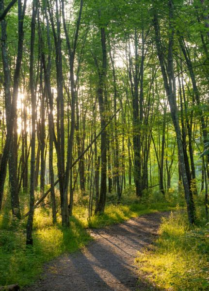 Hiking The Sunken Garden Trail In Moraine State Park Uncovering Pa