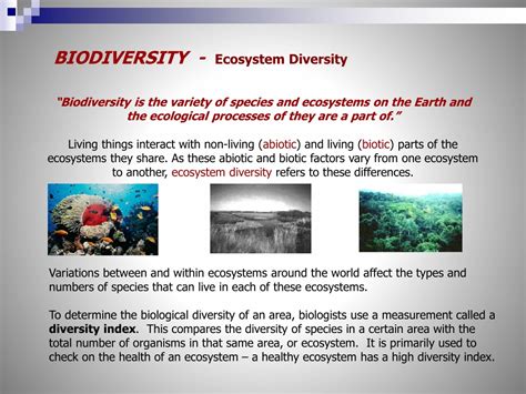 Ppt Biology Powerpoint Slideshow Grade 9 Science Biological Diversity