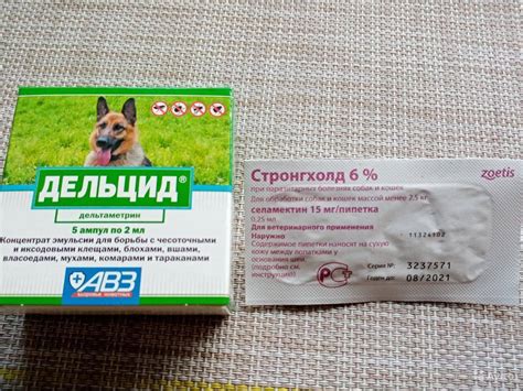 Дельцид для кошек и собак: показания и инструкция по применению, отзывы ...