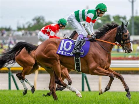 【安田記念】武豊騎手が09年ウオッカ以来の4勝目なるか ナミュールで参戦 競馬ニュース Netkeiba