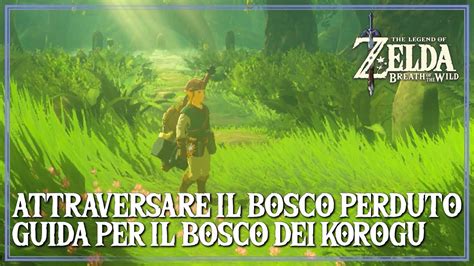 Come Attraversare Il Bosco Perduto E Arrivare Al Bosco Dei Korogu Zelda