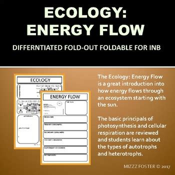 Ecology: Energy Flow, Trophic Levels, Food Chains and Food Web Foldable ...