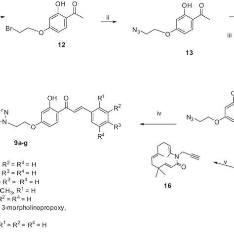 Scheme 1 Preparation Of Conjugates 9a G Reagents And Conditions I