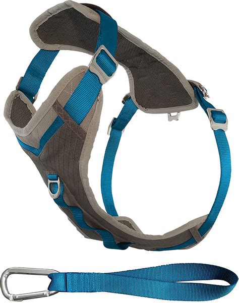 Best Dog Hiking Harnesses (Our 9 Choices of 2021)