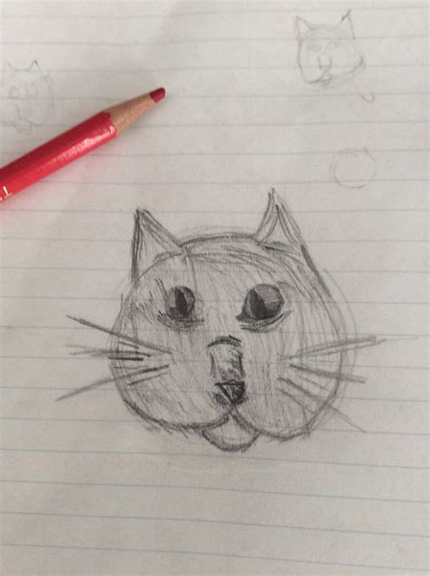 How To Draw A Realistic Cat Step By Step Tutorial Craftsy