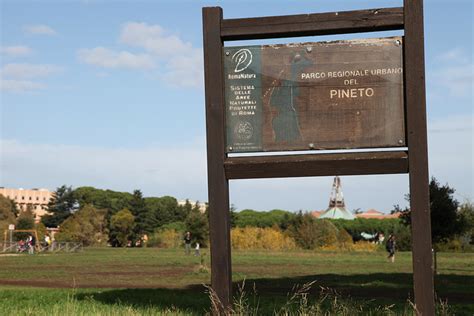 Pineta Sacchetti O Parco Del Pineto Sacchetti Dove A Roma