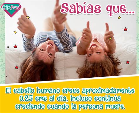 FrioPad - #SabíasQueFrioPad Un dato curioso para ustedes... | Facebook