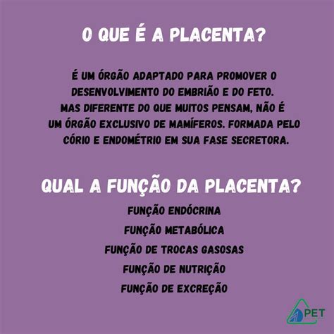 Tipos de Placenta Classificação Anatômica