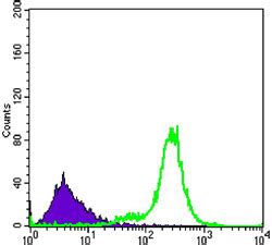 IL34 Antibody Purified Mouse Monoclonal Antibody WB FC ICC E Buy