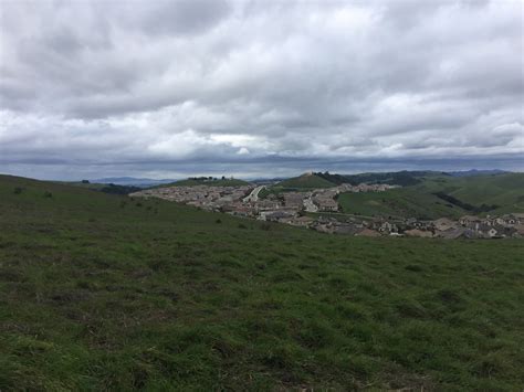 Dublin Hills Regional Park Hikes Dogs Love
