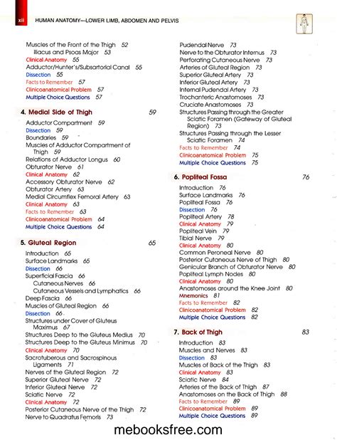 SOLUTION Bd Chaurasia S Human Anatomy Volume 2 Lower Limb Abdoman And