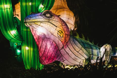 Photos: WildLanterns at Woodland Park Zoo continues through Jan. 17 | Seattle Refined