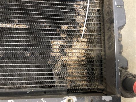 Bobcat 7753 Radiator For Sale