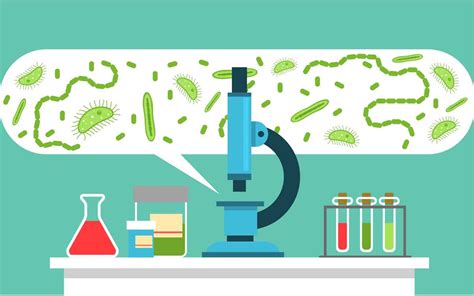 The Ultimate Microbiology Final Exam Study Guide Ace Your Test With