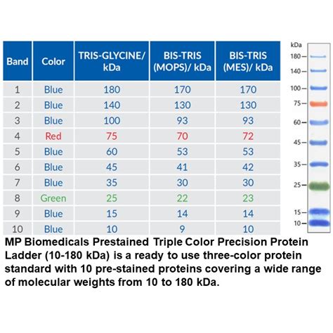 Mp Biomedicals Prestained Triple Color Protein Ladder Kda