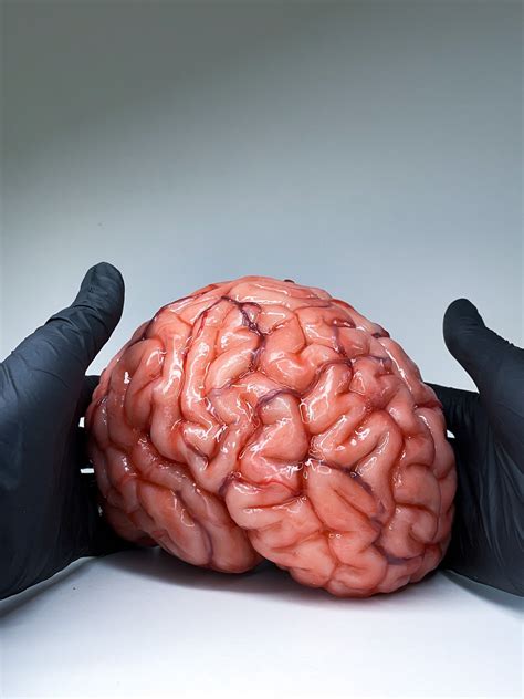 Real Brains