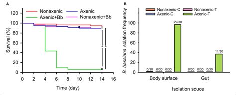 Associated Microbiota Inhibited B Bassiana Infection Of D Antiqua Download Scientific