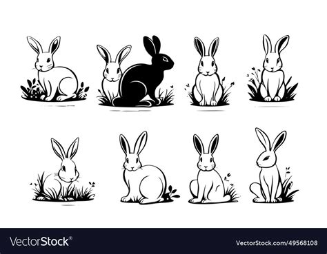 Isolated rabbit on white background set Royalty Free Vector