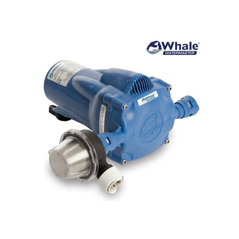 Whale Watermaster Automatic Pressure Pump