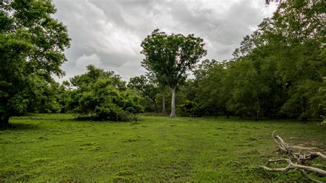 Mole National Park - Ghana Safari Tours